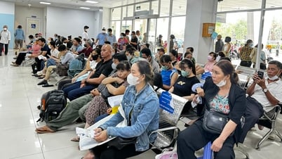 Ho Chi Minh City checks fake drugs, medical equipment, and functional foods at medical facilities