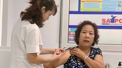 Số người tiêm phòng dại ở Hải Dương tăng cao
