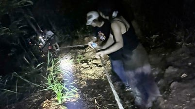 5 personnes coincées au sommet de la montagne Ham Lon
