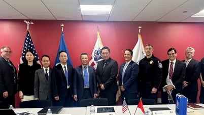 베트남-미국 세관 대화: '국제 무역 사기의 물결'을 막기 위한 협력