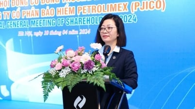 PJICO Insurance entlässt Generaldirektor nach fast 30 Jahren