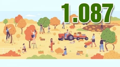 1,087 - هو عدد التعاونيات في المحافظة بأكملها اليوم