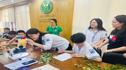 Hanoi students experience biodiversity at the Institute of Medicinal Materials