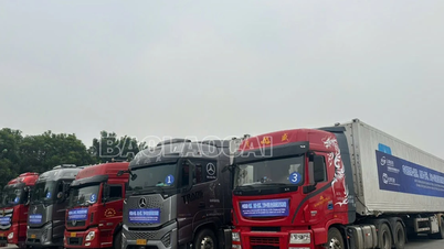 Lào Cai: Đảm bảo các điều kiện đón phương tiện vận tải Trung Quốc nhập cảnh, lưu thông trên tuyến đường bộ GMS