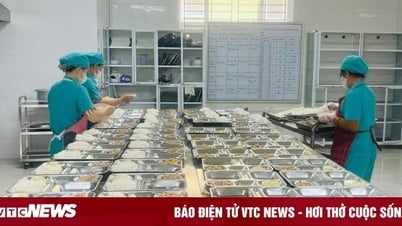 Chủ tịch Quảng Bình yêu cầu xác minh thông tin bữa ăn học sinh bị thu thuế 2 lần