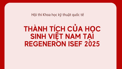 [インフォグラフィック] 2025年国際科学技術フェアにおけるベトナム人学生の成果