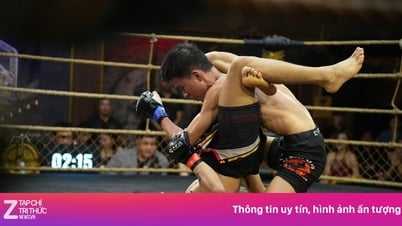 Feast your eyes on 9 dramatic MMA matches at GMA 04