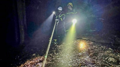 Retten Sie fünf Menschen, die sich in einer regnerischen Nacht tief in den Bergen verirrt haben