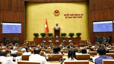 أقر مجلس الأمة قرارا بشأن تعديل واستكمال تقديرات الموازنة العامة للدولة لعام 2025.