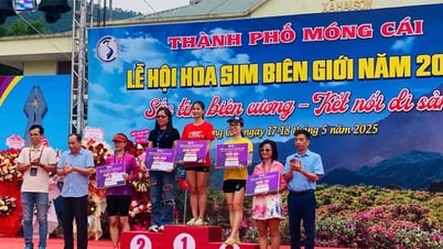 Đặc sắc Lễ hội Hoa sim biên giới tại Quảng Ninh