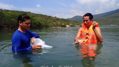 Hưởng ứng Tuần lễ Biển và Hải đảo Việt Nam, Ngày đại dương thế giới năm 2025