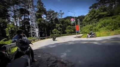 Experiencia para salvar la vida al descender en Tam Dao, ¿debería ir en moto o scooter?
