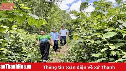 Những tấm gương bình dị mà cao quý
