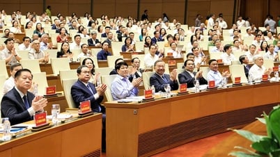 Más de 1,5 millones de delegados asistieron a la Conferencia Nacional para difundir e implementar la Resolución 66-NQ/TW y la Resolución 68-NQ/TW.