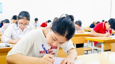 Tỉ lệ chọi vào lớp 10 Hà Nội khiến phụ huynh mất ăn, mất ngủ: Chuyên gia tư vấn nóng