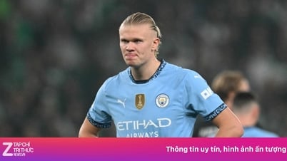 Haalands letzter Albtraum