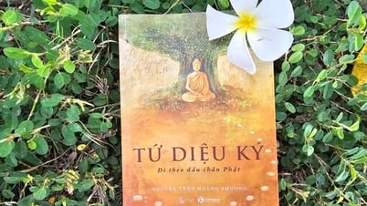 Tứ Diệu Ký: Đi theo dấu chân Phật - Hành trình nhìn ra thế giới