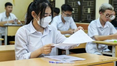 Probeprüfung zum High-School-Abschluss 2025 mit Antworten für Hai Phong