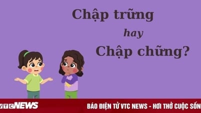 'Chếp trống' หรือ 'chếp chân' สะกดถูกต้องหรือไม่?