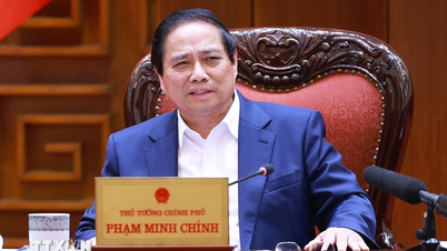 Thủ tướng chủ trì họp xây dựng dự thảo nghị quyết về y tế, giáo dục