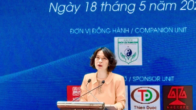 Promoción de la marca de la medicina tradicional vietnamita a nivel internacional