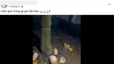 สมาคมผู้เลี้ยงไก่ แนะ รมว.เกษตรฯ ตรวจสอบข้อมูล ‘ไข่ไก่ปลอม’