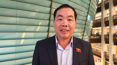 Đề xuất nhà khoa học hưởng lợi theo giai đoạn nghiên cứu
