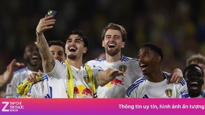 プレミアリーグの新人選手11名が放出