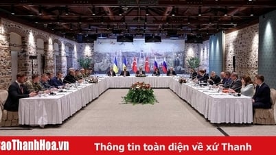 Hòa bình theo điều kiện: Khi bàn đàm phán trở thành chiến trường ngoại giao