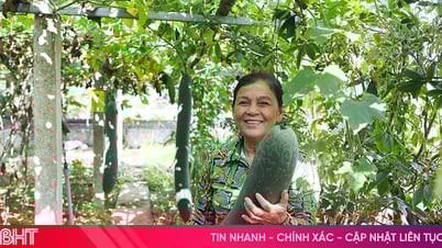 Las iniciativas para construir nuevas áreas rurales en Ha Tinh continúan promoviendo su importancia
