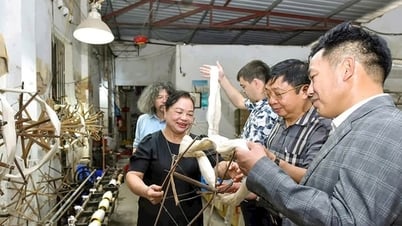 Résoudre le problème des matières premières pour le développement des produits en soie OCOP