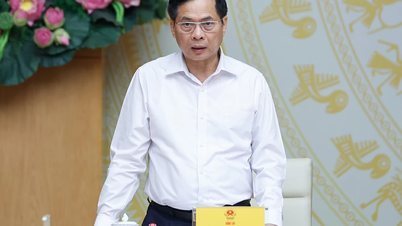 Chính phủ thành lập Tổ công tác về cao điểm đấu tranh ngăn chặn, đẩy lùi tội phạm buôn lậu, hàng giả