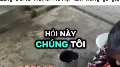 สมาคมสัตว์ปีกเวียดนามพูดถึงข้อมูล 'ไข่ไก่ปลอม'
