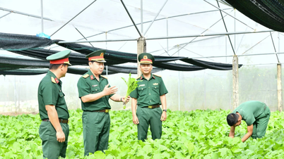 Ngành Hậu cần Quân đoàn 34 kiên định làm theo lời Bác