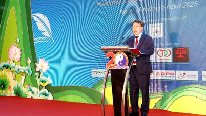 Cần kết hợp y học hiện đại và y học cổ truyền trong đào tạo và thực hành y tế