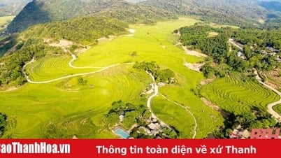 ปูลวง : ฤดูทองกำลังเรียกหา