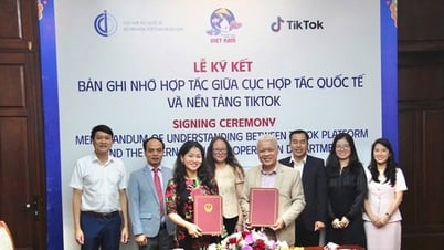 TikTokプラットフォームで文化、スポーツ、観光を宣伝