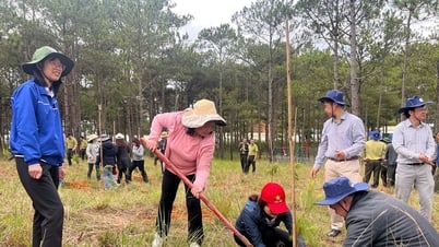 Lâm Đồng nằm trong top đầu thực hiện đề án trồng 1 tỷ cây xanh