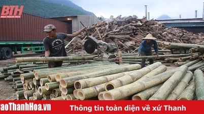 Nhân rộng mô hình HTX hoạt động hiệu quả trên địa bàn huyện Quan Hóa