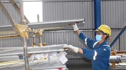 Nueva fuerza impulsora del desarrollo económico privado