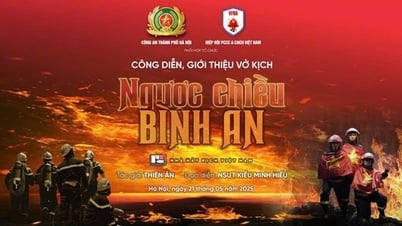 សម្ដែង និង​ណែនាំ​ពី​រឿង​«​ប្រឆាំង​ចរន្ត​សន្តិភាព​»