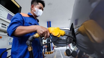 5月19日のガソリン価格：国内価格は逆方向に調整される可能性がある