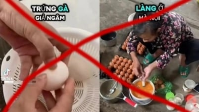 Bác thông tin trứng gà giả trên mạng xã hội