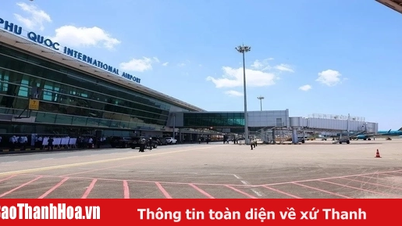 Tạm đình chỉ công tác cán bộ cửa khẩu vì xé thẻ lên máy bay của khách