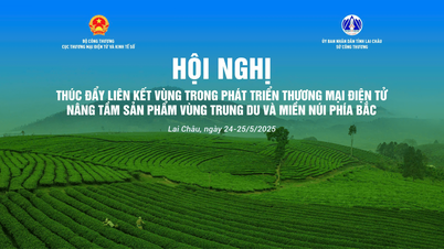 Chuỗi sự kiện thúc đẩy liên kết vùng trong phát triển thương mại điện tử vùng Trung du và miền núi phía Bắc năm 2025 tổ chức tại Lai Châu