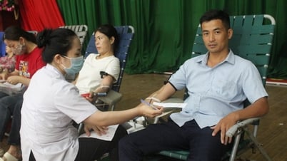 Huyện Cư Kuin: Vận động hiến máu tình nguyện, tiếp nhận 328 đơn vị máu