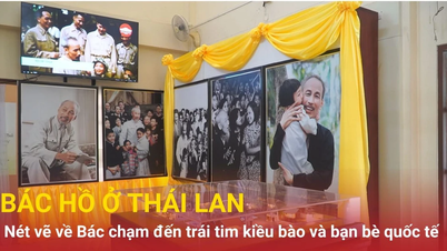 Los dibujos del tío Ho conmueven los corazones de los vietnamitas y amigos internacionales en el extranjero.