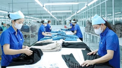 Triển khai Nghị quyết số 198/2025/QH15 của Quốc hội về một số cơ chế, chính sách đặc biệt phát triển kinh tế tư nhân