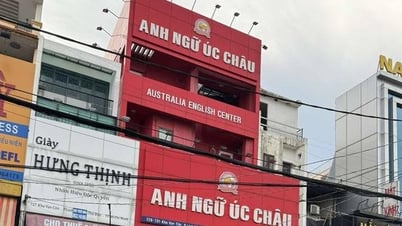 Trung tâm Anh ngữ tại TP HCM thu tiền tỉ rồi đột ngột đóng cửa: Chuyển hồ sơ sang Công an Thành phố