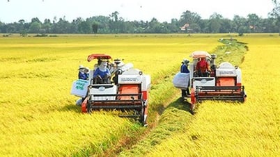 Phát triển bền vững và giảm phát thải trong sản xuất lúa gạo